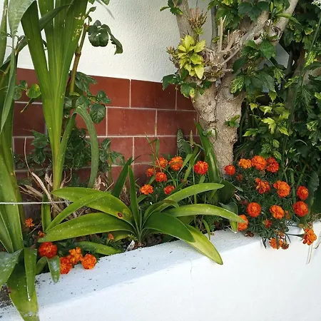 Casa Holandesa Almádena